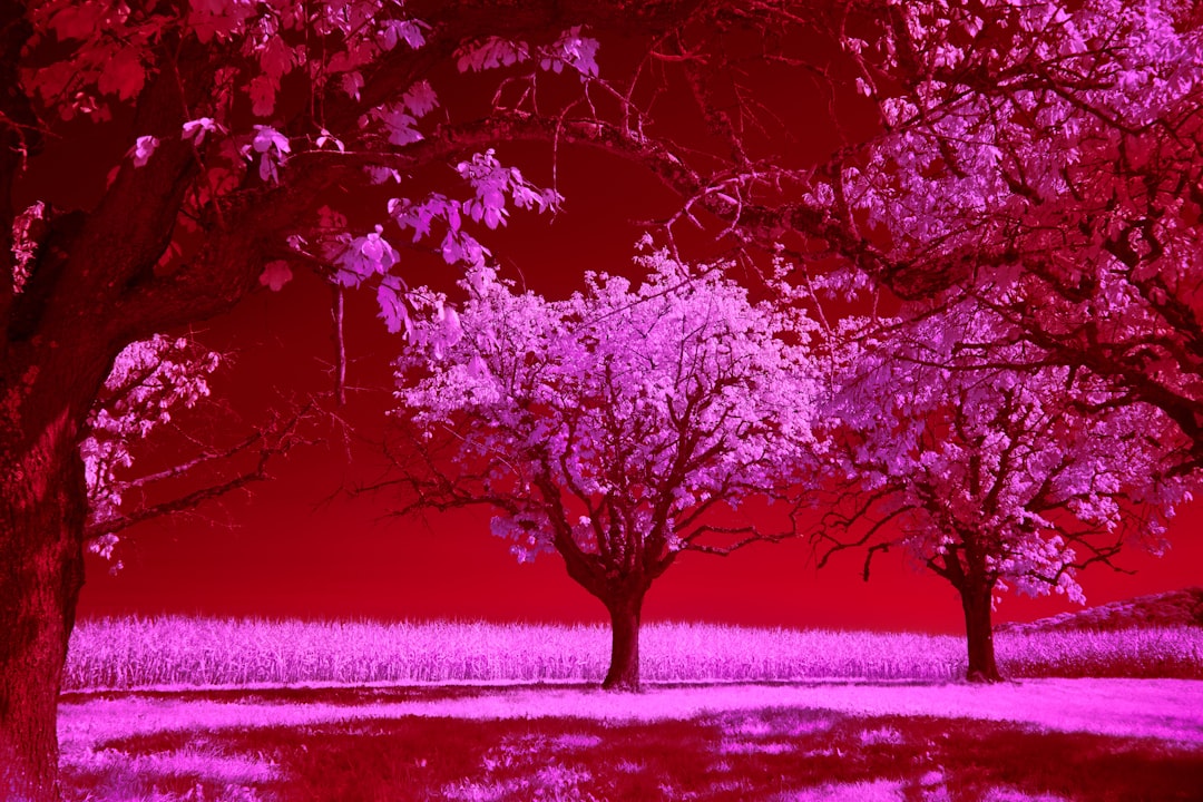 'Infrared'