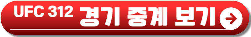 UFC 312