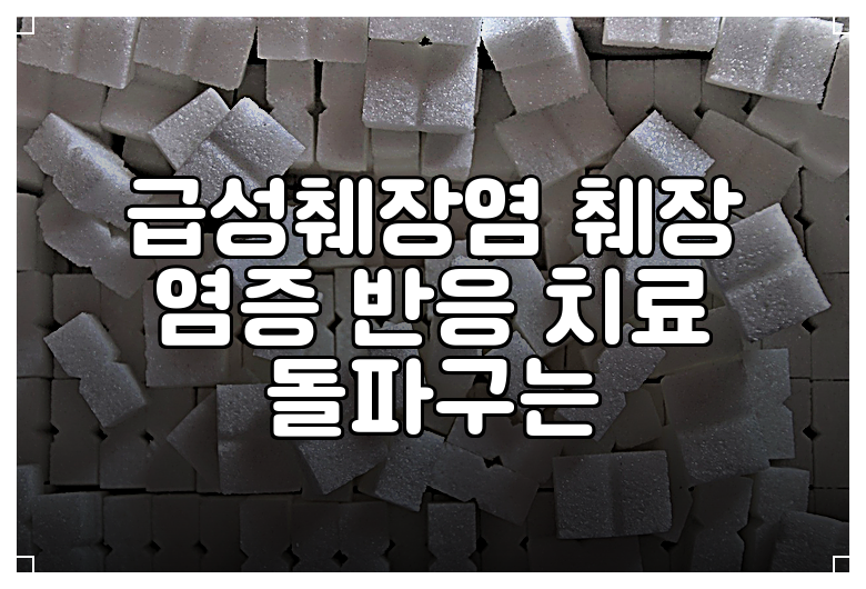 급성췌장염 췌장 염증 반응 치료 돌파구는