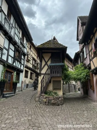 알자스 숨겨진 마을 독일 프랑스 퓨전 요리 맛집_19