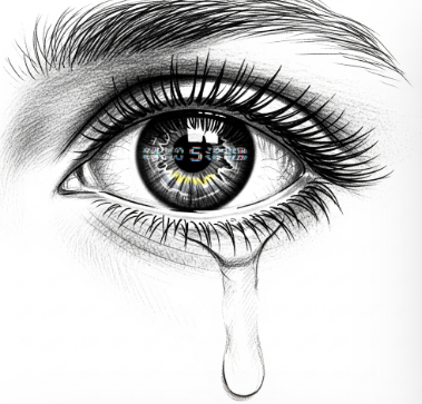 5. 향후 보상은 어떤 방식으로 나올까? (가능성 분석)