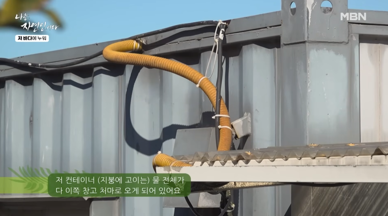 넘쳐흐른 빗물이 배관을 타고 옆 물탱크로 채워지도록 만든 저장 탱크 연결 시설
