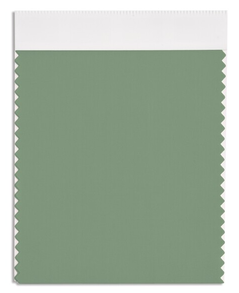 카슈미르(Kashmir)