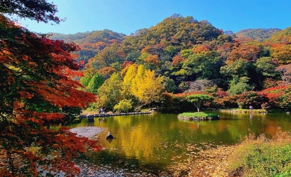 전북 무주 덕유산 백련사 단풍