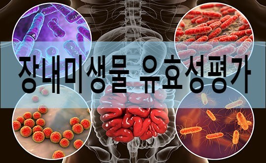 면역력과 장내 유익균