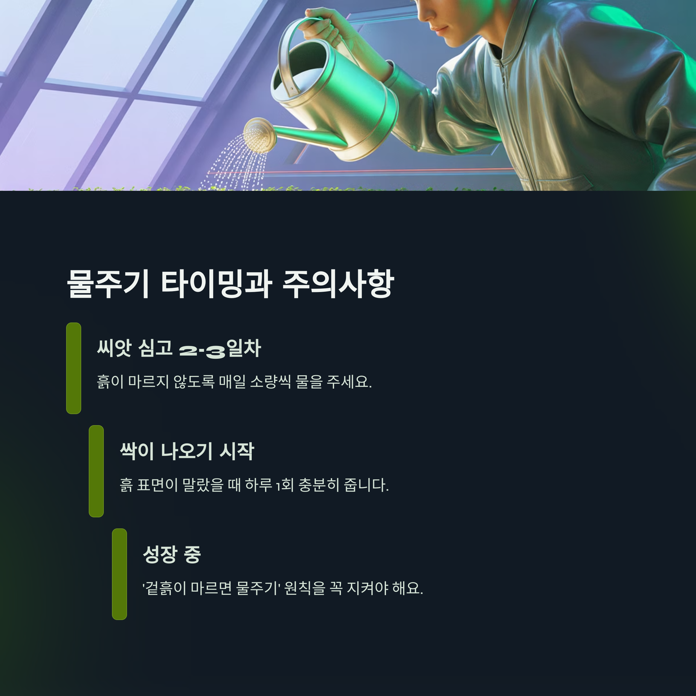물주기 타이밍과 주의사항