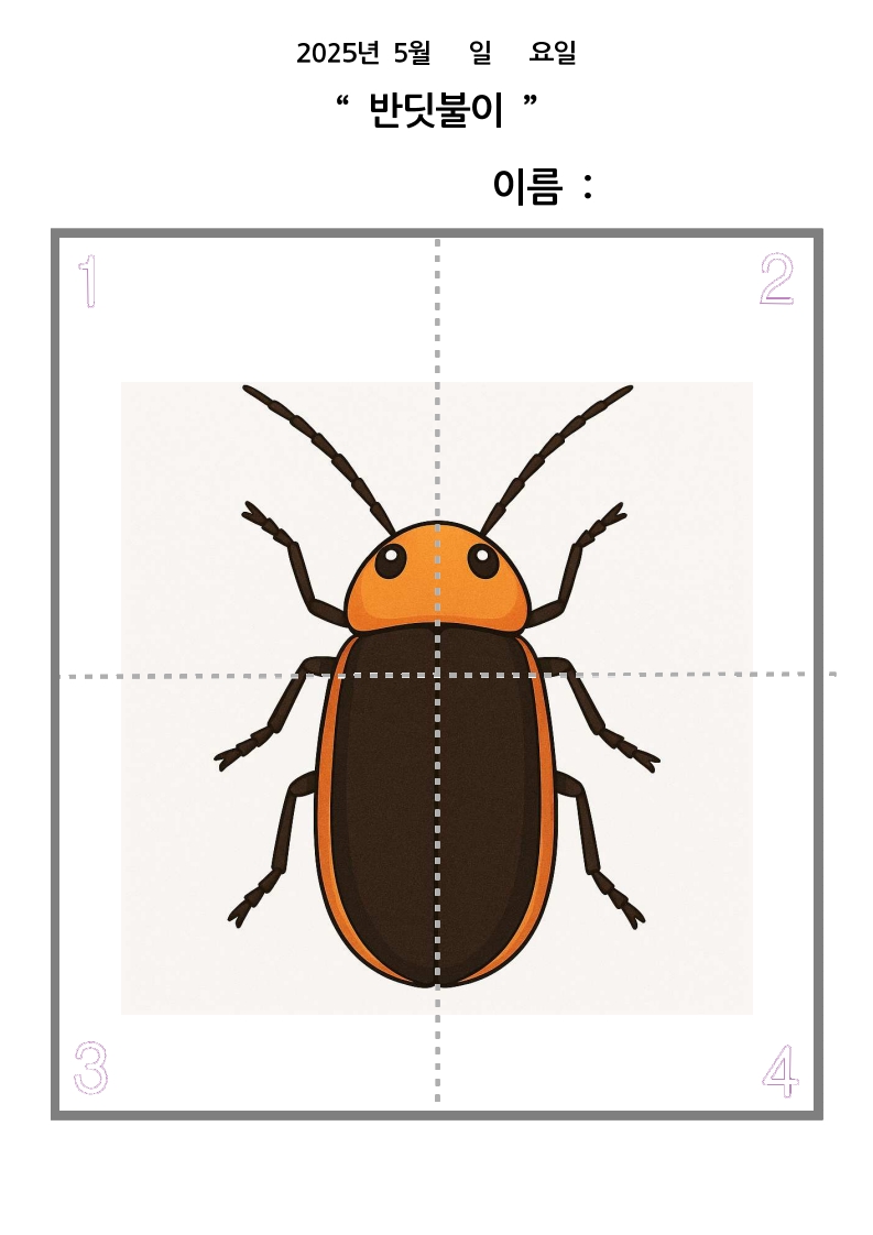 반딧불이 색칠도안 컬러 사진