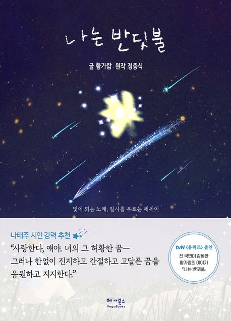 나는 반딧불의 책 표지