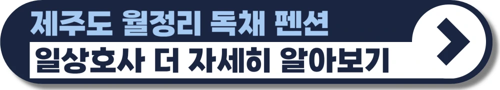 제주도-월정리-펜션