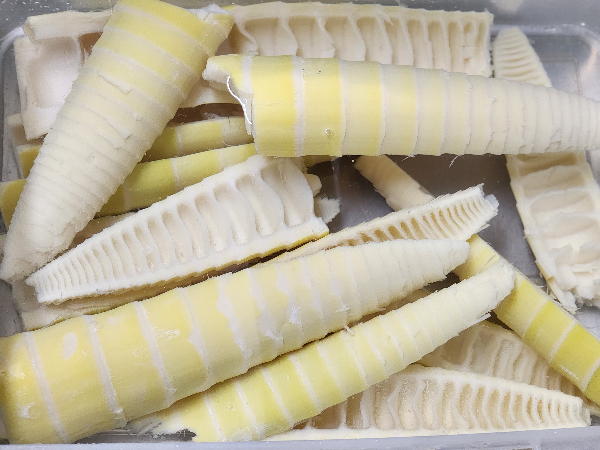 죽순 손질