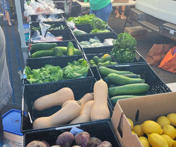 마우이-업컨트리-파머스-마켓-채소파는-가게-사진