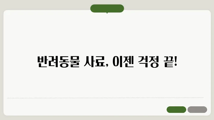 반려동물 사료 정기배송 추천 서비스 TOP3 신뢰할 수 있는 선택지 확인하기