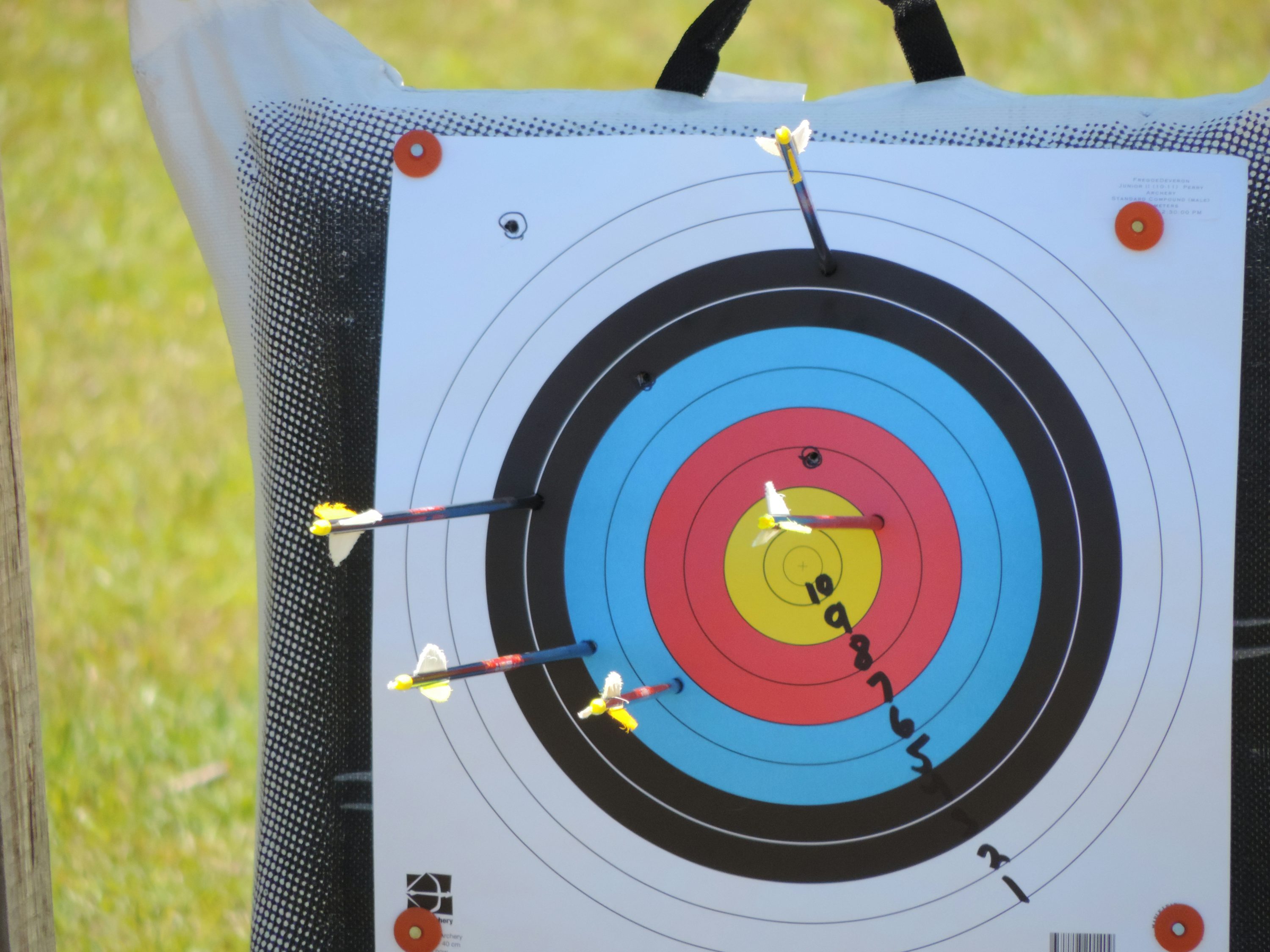 양궁 관련 이미지