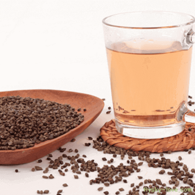 결명자, 결명자차