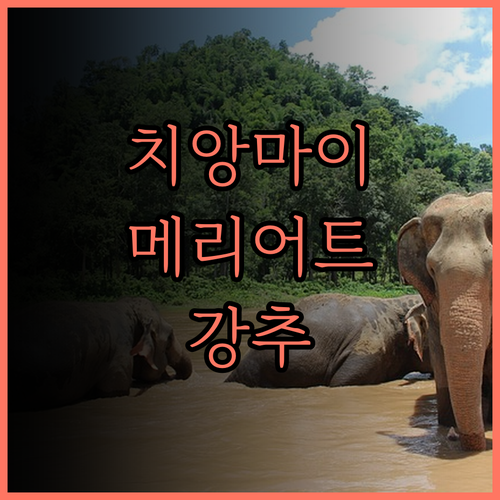 치앙마이 메리어트 호텔 후기 위치 최