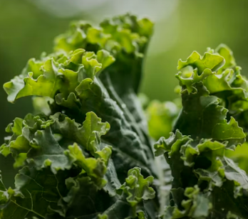 만성 췌장염에 좋은 음식 영양제 식단