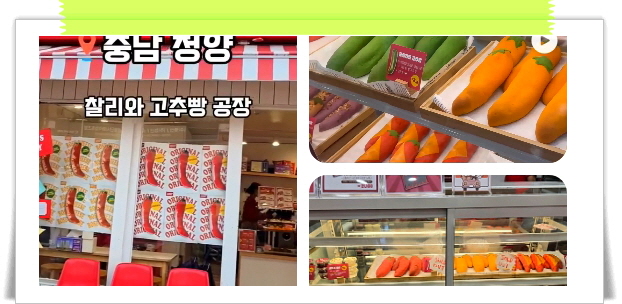 매일아침 위대한식재료 고추빵 후기