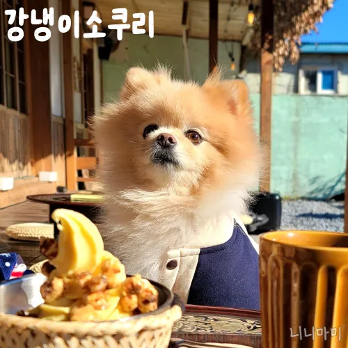 너무귀여운니니의-강냉이소쿠리-후기