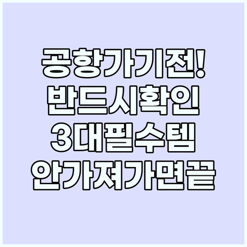 공항 출발 직전 반드시 확인해야 할 ..