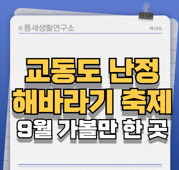 교동도난정-해바라기축제-썸네일