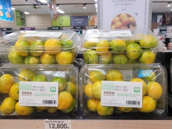 2025 여름 국산 농축산물 40% 할인! [+전통시장 환급행사까지 총정리] 2025 여름 국산 농축산물 40% 할인! [+전통시장 환급행사까지 총정리] 