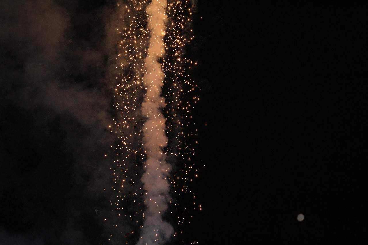 테마별 봄축제 관련 사진