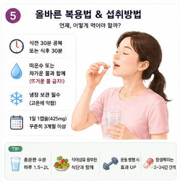 비에날17-유산균-효능-후기-효과-복용법-섭취방법