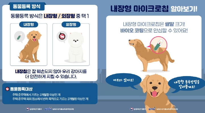 반려견-동물등록-방식
