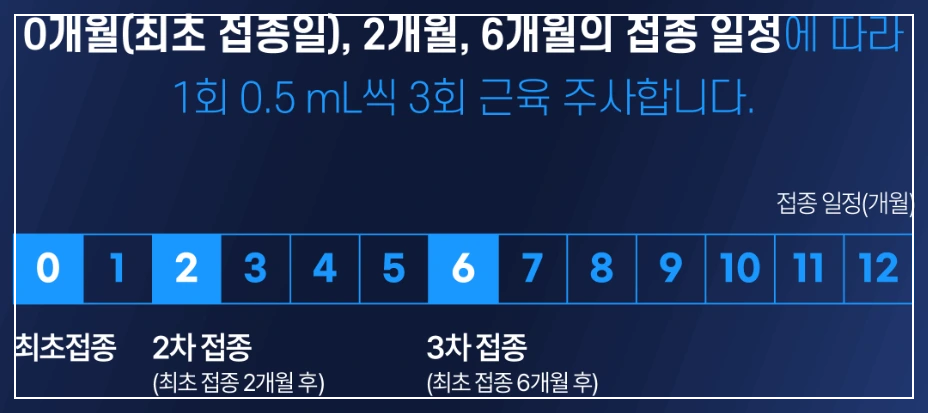 만 15세 이상 (3회 접종 필수)