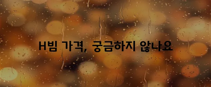 H빔 가격표