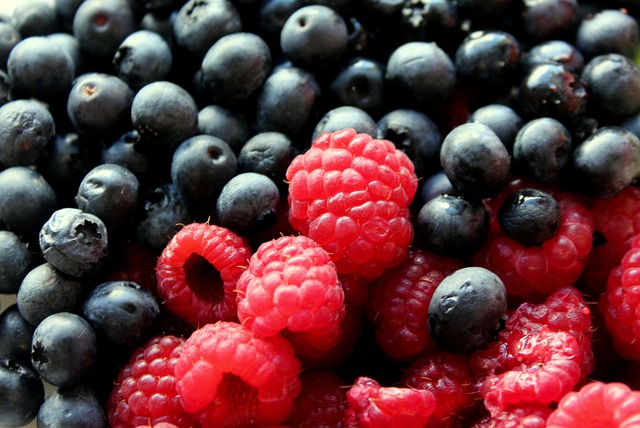 폐암에 좋은 음식