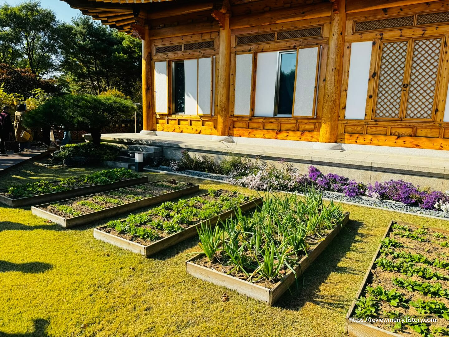 관저 마당 텃밭