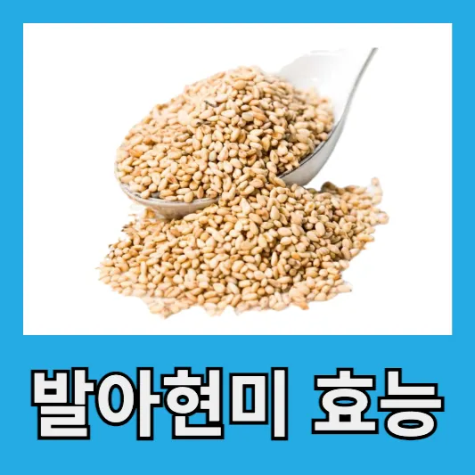 발아현미 효능