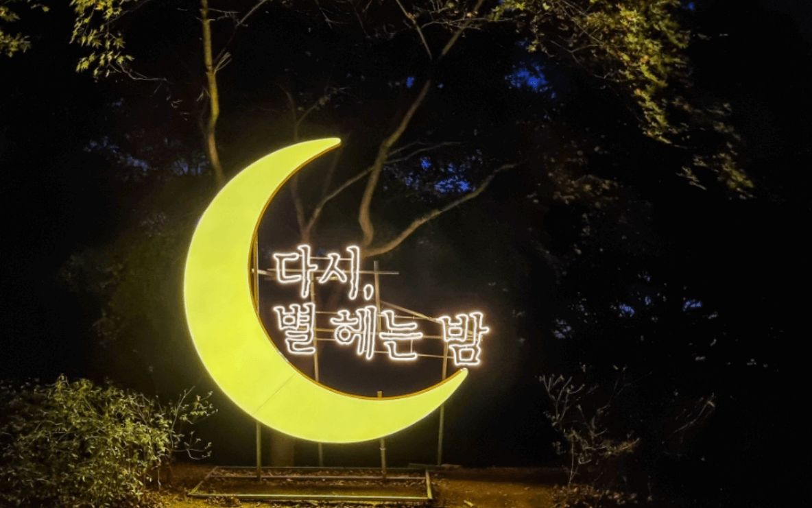 2024 독립기념관 별헤는밤 단풍나무숲길 야간개장 시즌1