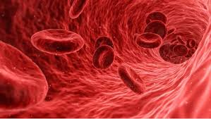 혈소판 수치 올리는 방법