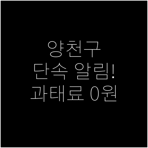 양천구 주정차 단속 알림으로 과태료 ..