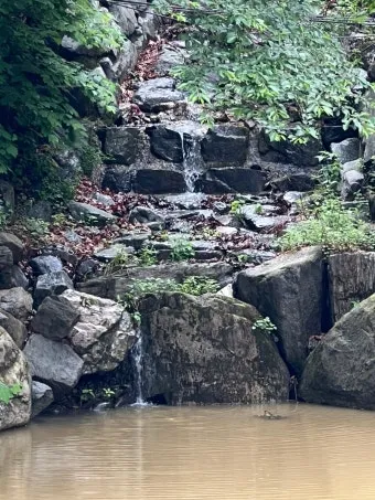 포레의 레퀴엠 위로와 평온을 담은 영혼의 음악 여행으로 안내_11