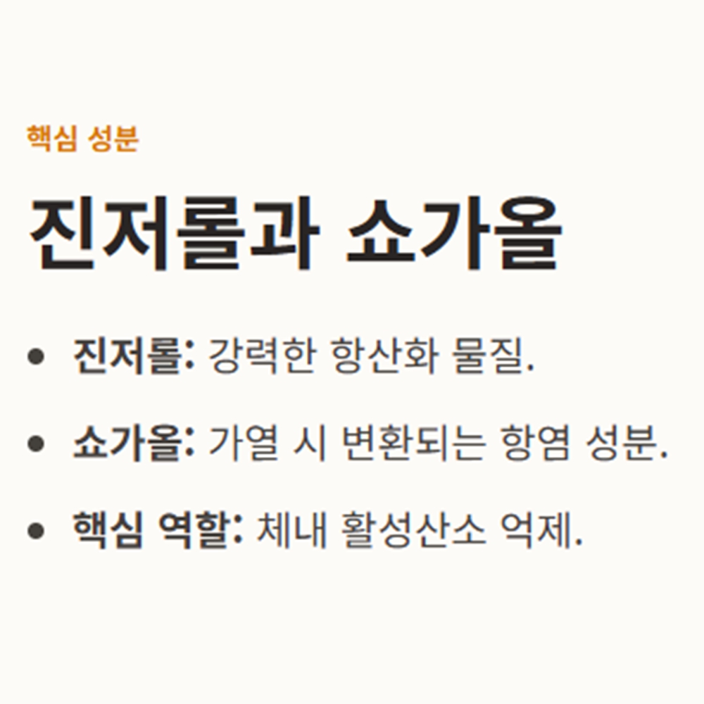 생강 효능