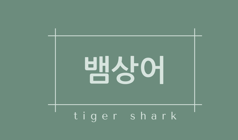 뱀상어(tiger shark)