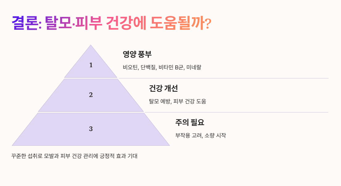 결론: 탈모·피부 건강에 도움될까