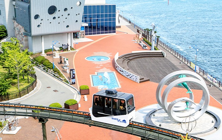 고래문화마을 수국축제