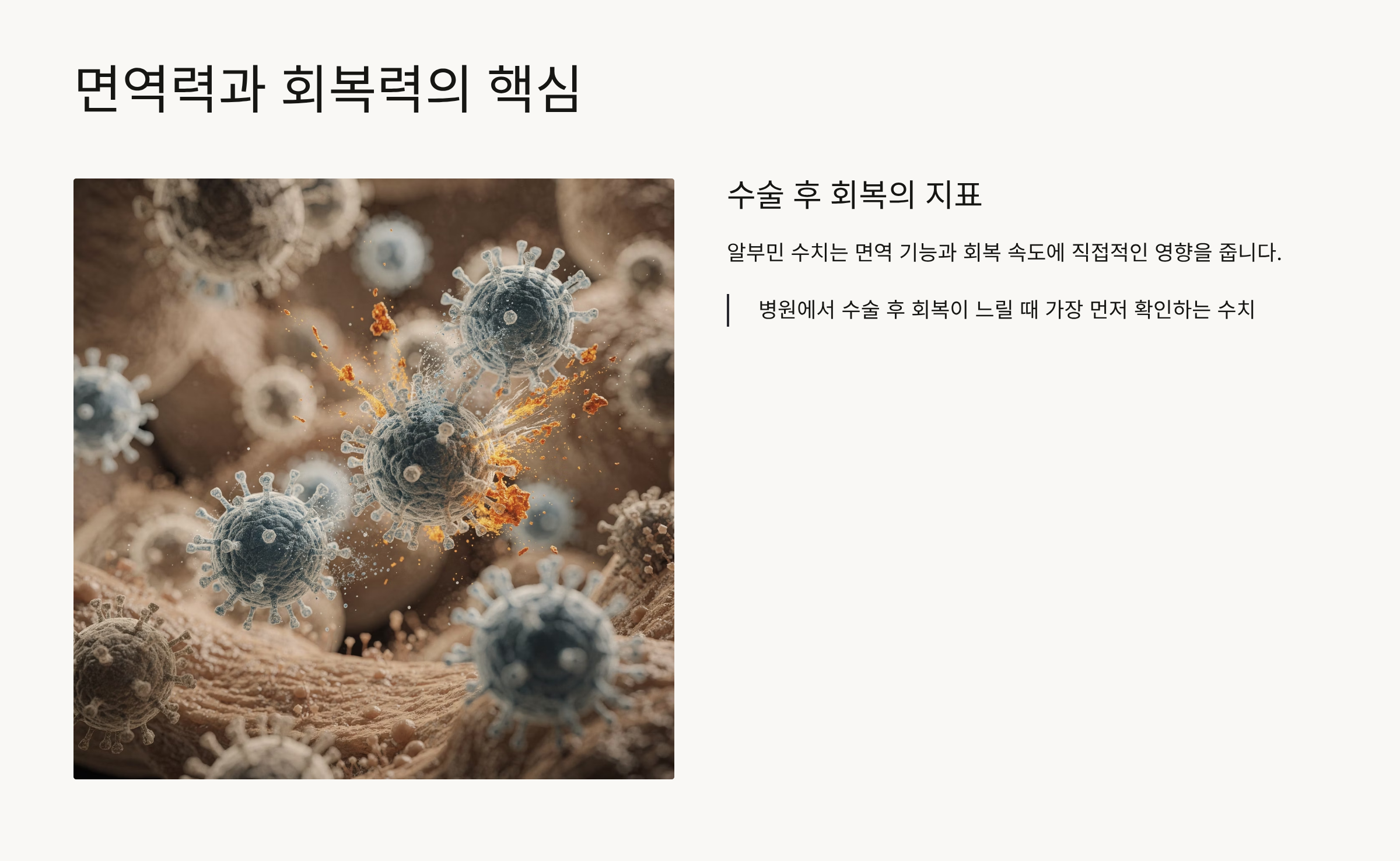 알부민의 효능 면역력 유지