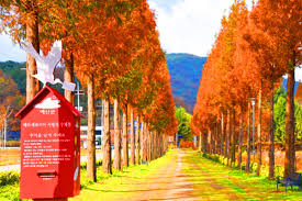 충청도 가을 단풍 명소