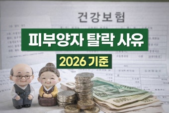 피부양자 탈락 사유