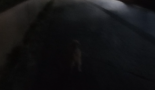 Alt 속성 문제 해결 설명 이미지