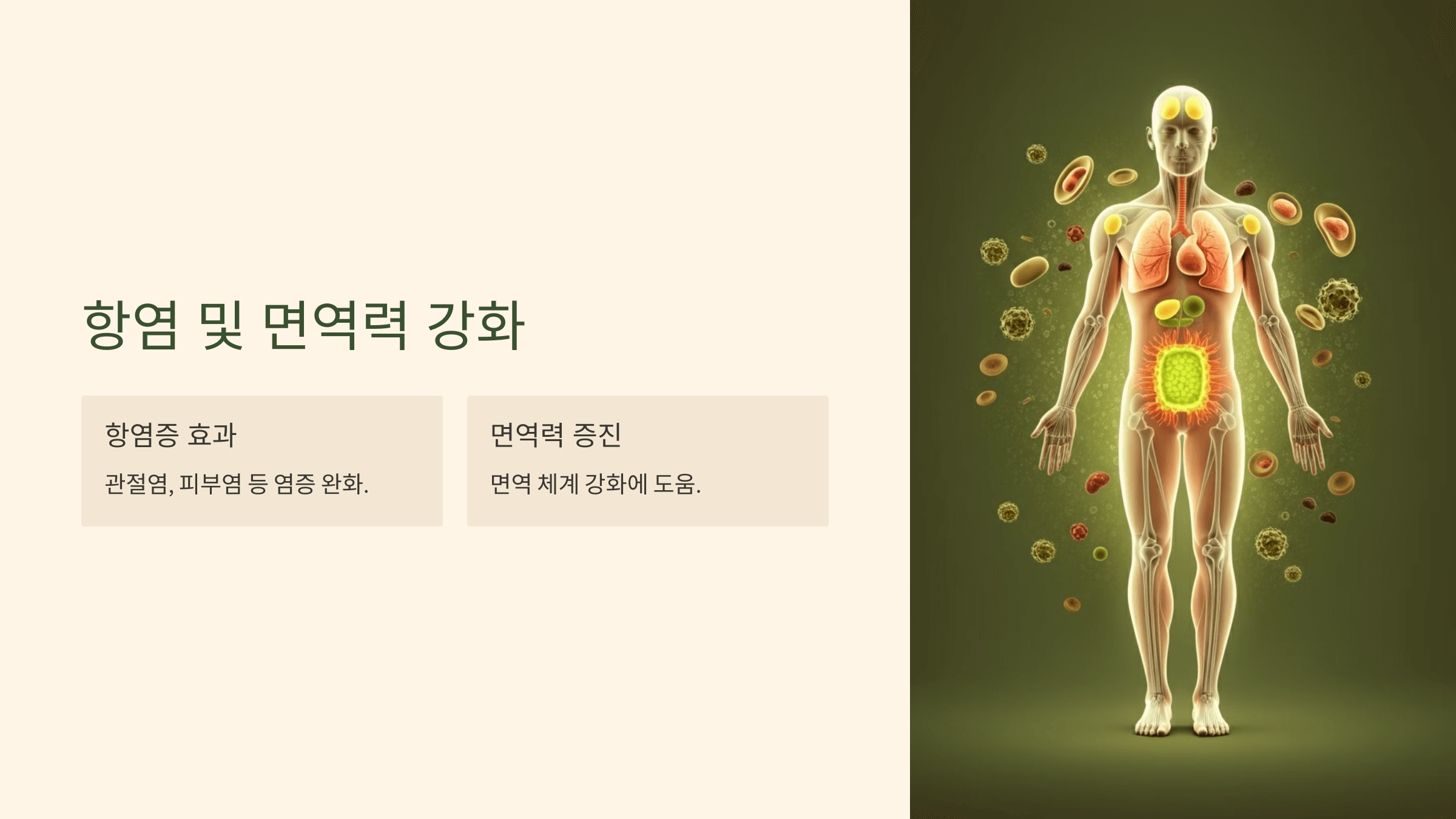 율무차 사진입니다.