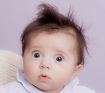 모발의 종류와 형태-취모