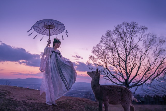 중국과 일본 추리소설 작가 비교
