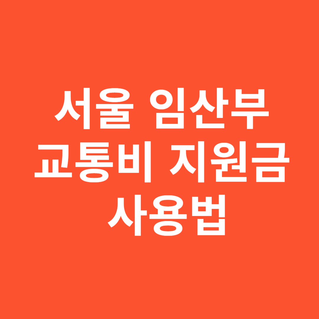 서울 임산부 교통비 지원금 잔액 조회 및 사용법