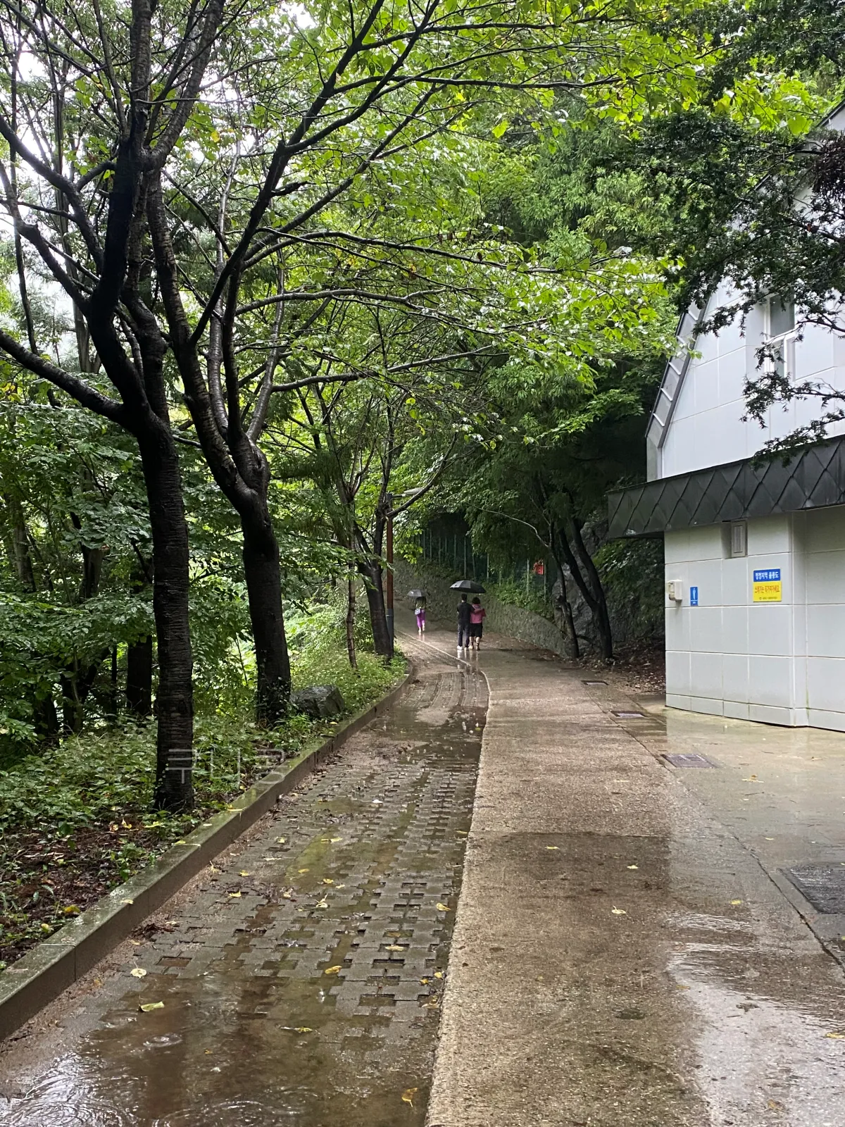 울릉도-추석가족여행-2일차-봉래폭포-입장료할인-주차정보-등산-난이도